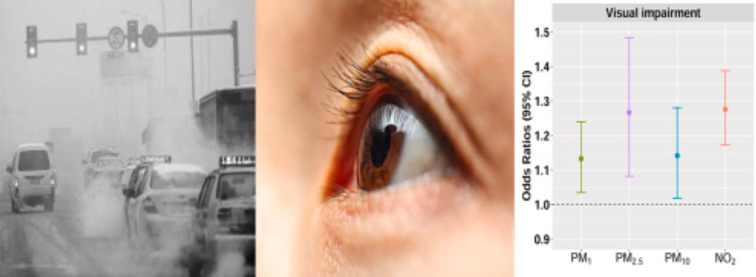 A previous study from China also showed that exposure to air pollution is linked to reduced vision in children. Photo: Science Direct