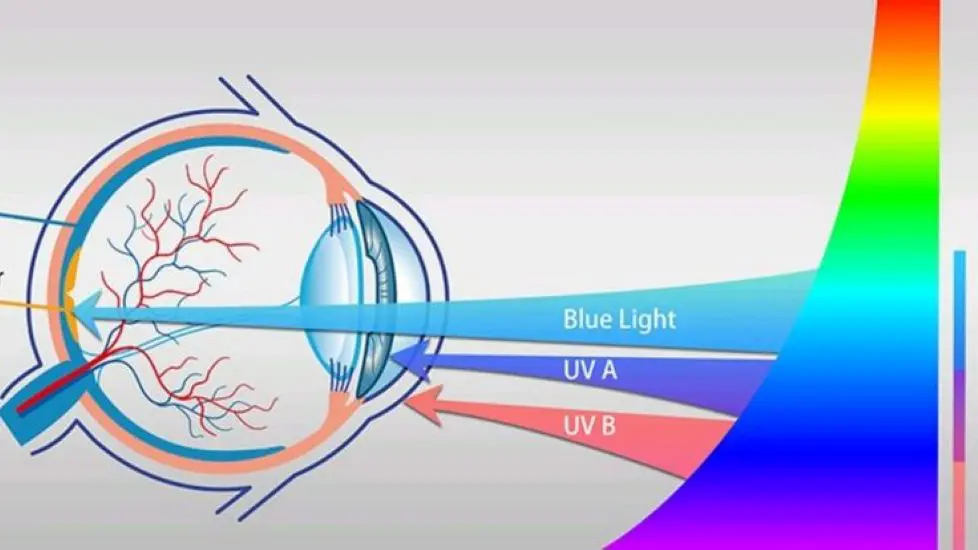 Blue Light and Its Actual Impact on the Eye