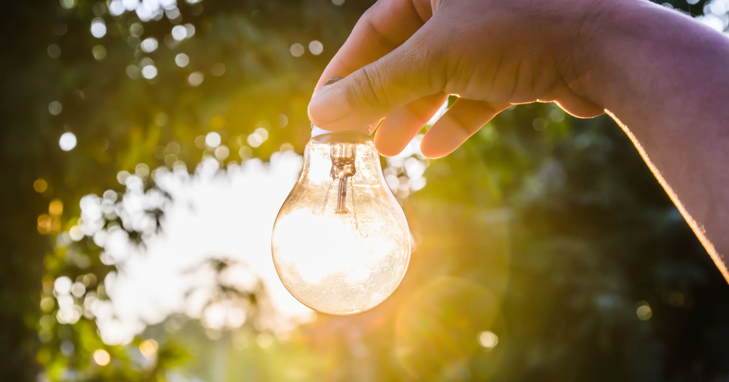 Ánh sáng tự nhiên – nguồn ánh sáng tốt nhất cho sức khỏe đôi mắt và nhịp sinh học cơ thể.