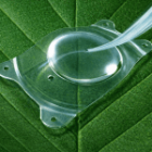 Cận 18 độ có mổ Phakic ICL được không?