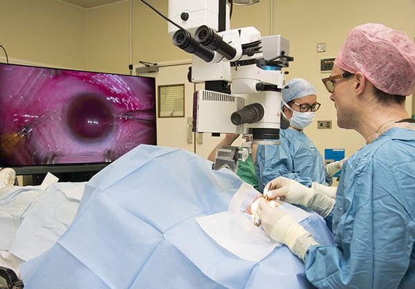 Vì sao cận thị cao thường được chỉ định Phakic ICL?