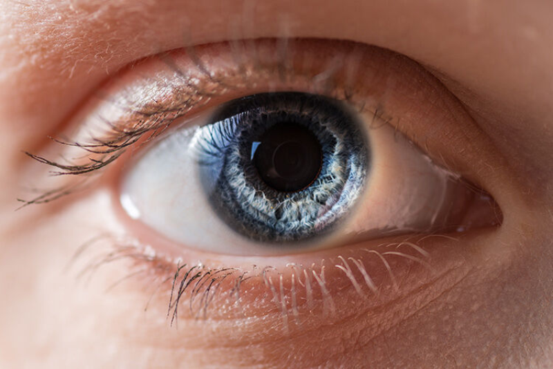 Potential application of biological eye drops in human eyes