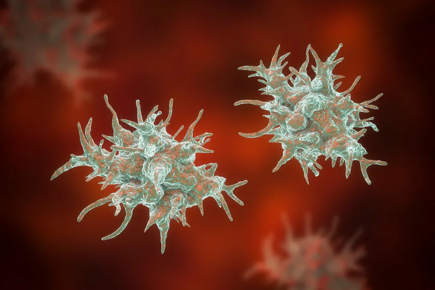 Acanthamoeba, ở dạng hoạt động, là một vi sinh vật cực nhỏ không thể nhìn thấy bằng mắt thường