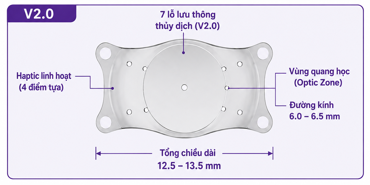 Phakic IPCL Lens (EyeOL UK)